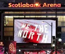 平博体育sport-多伦多猛龙队夺冠阵容