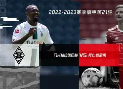 拜仁慕尼黑主力
