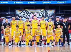 nba球员打野球 nba球员打野球